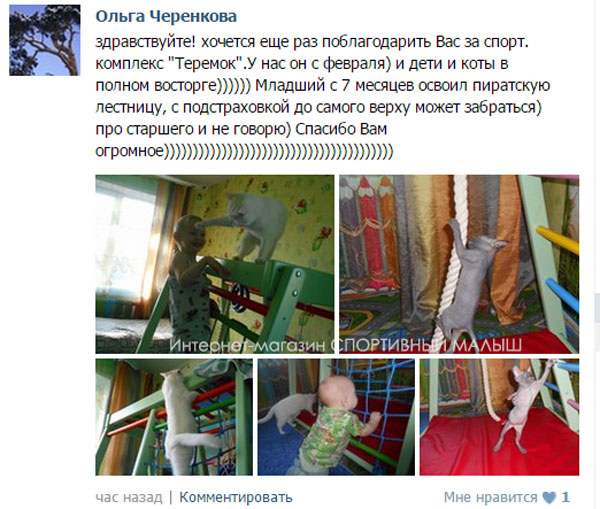 Отзыв о деревянном спортивном уголке для детей Теремок от покупательницы из Иркутской области
