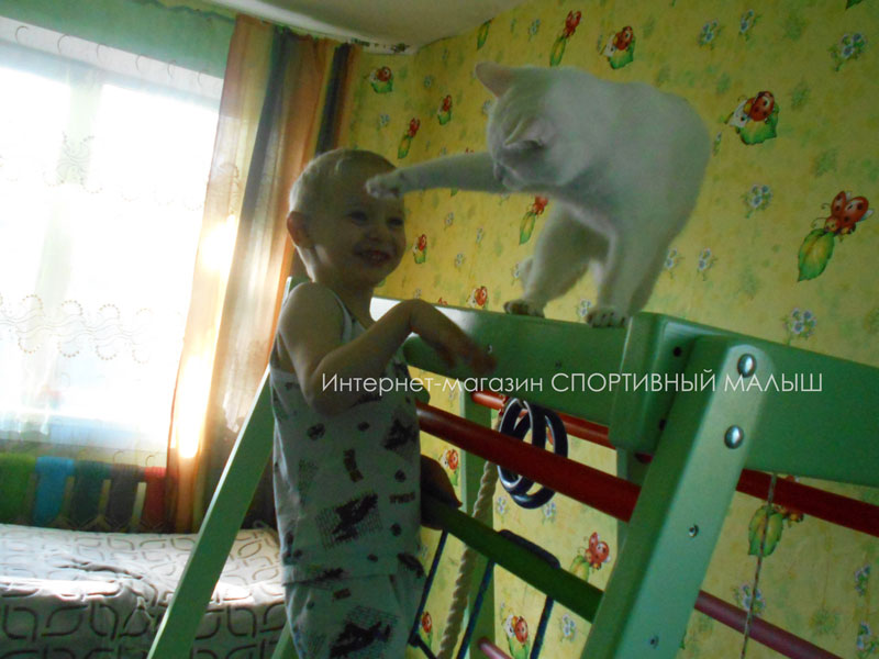 Играющий тренер. Кот показывает малышу, как правильно пользоваться спортивным игровым центром для дома Теремок. Отзыв покупательницы
